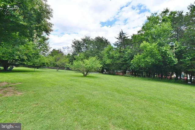 a view of a lake from a yard