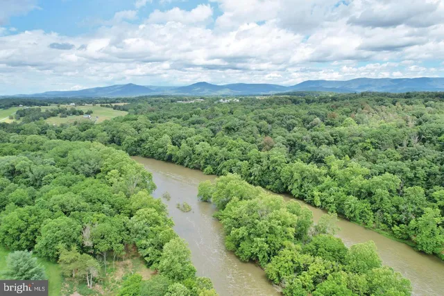 a view of a green field with lots of bushes