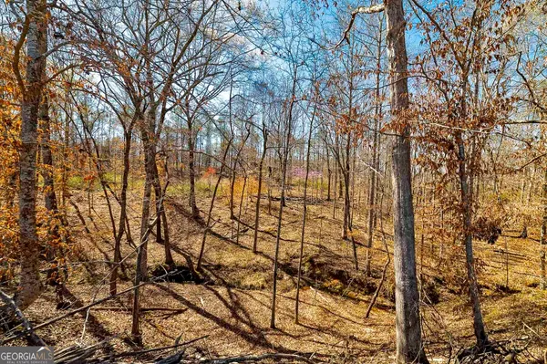 $450,388 | Lot 7 Mayfield Road, Flovilla, GA 30216