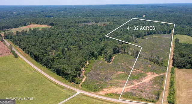 a view of a forest from a balcony