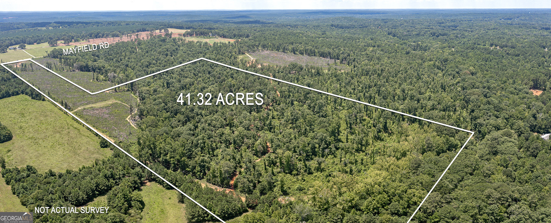 Lot 7 Mayfield Road Flovilla, GA 30216 - Photo 4 of 6 a view of a forest from a balcony