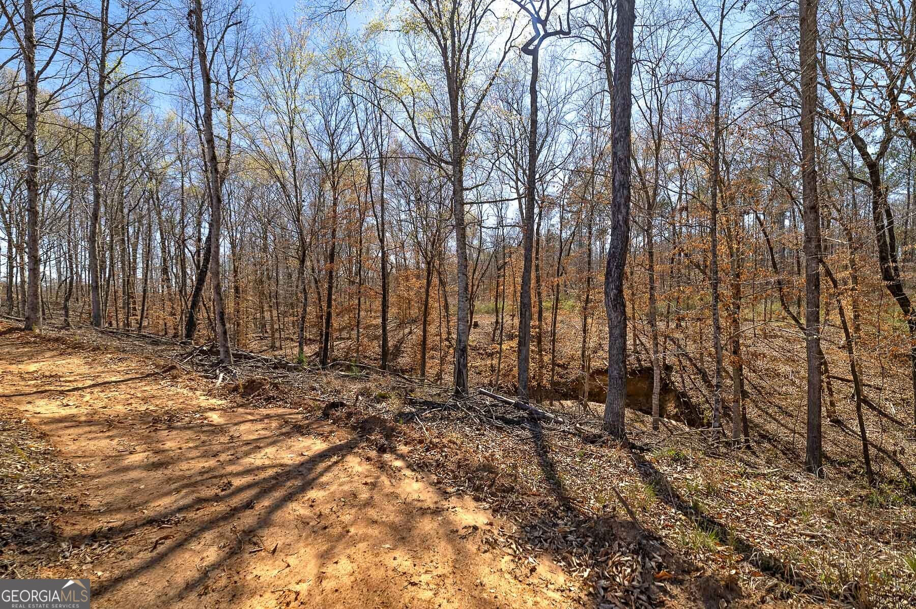 Lot 7 Mayfield Road Flovilla, GA 30216 - Photo 6 of 6 a view of wooden fence of a house