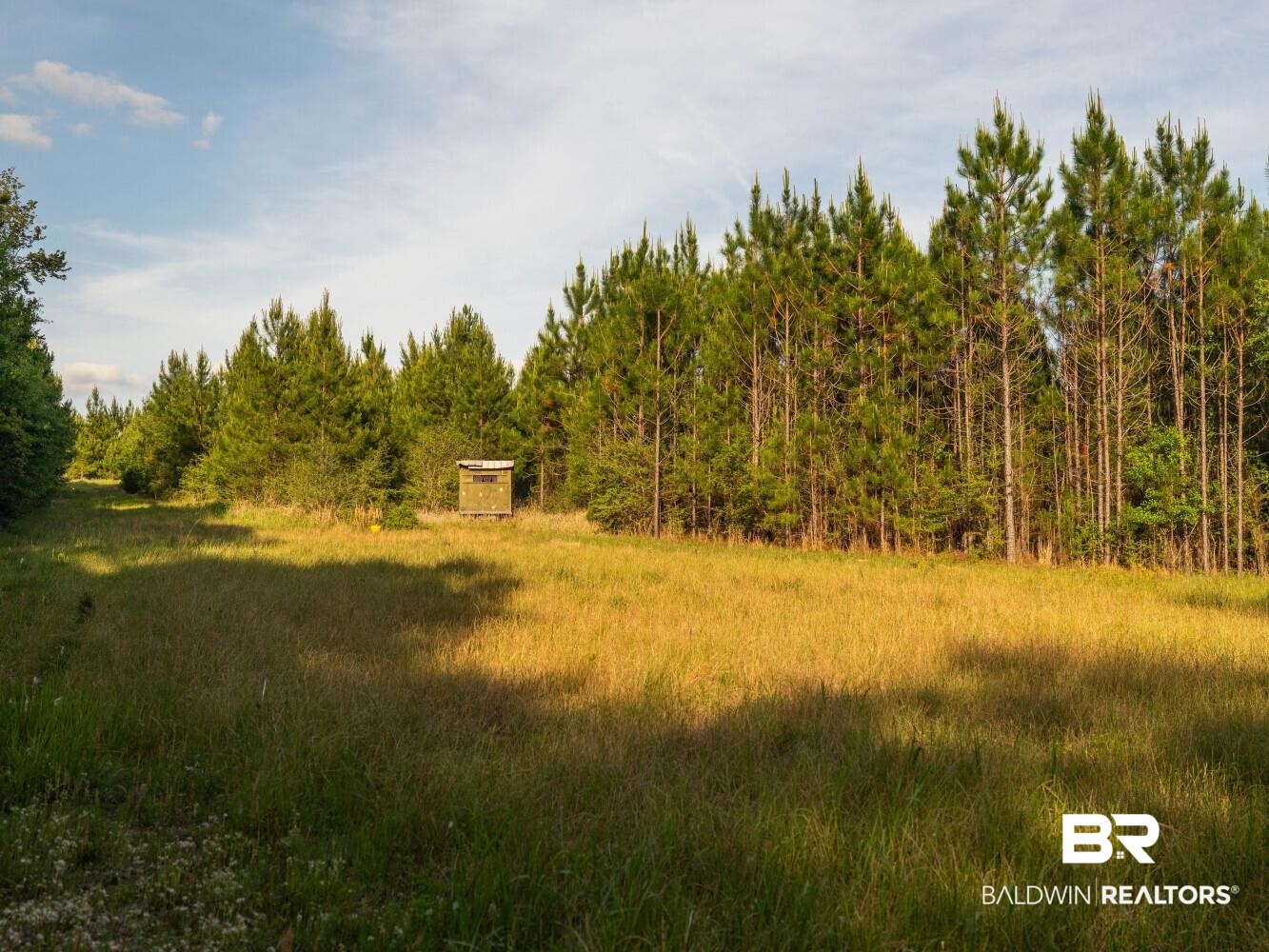 0 Flowers Road Bay Minette, AL 36507 - Photo 30 of 53 Gallery Image 30
