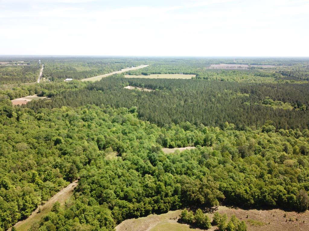 Tbd Tbd Dixie Road South Wagener, SC 29164 - Photo 3 of 25
