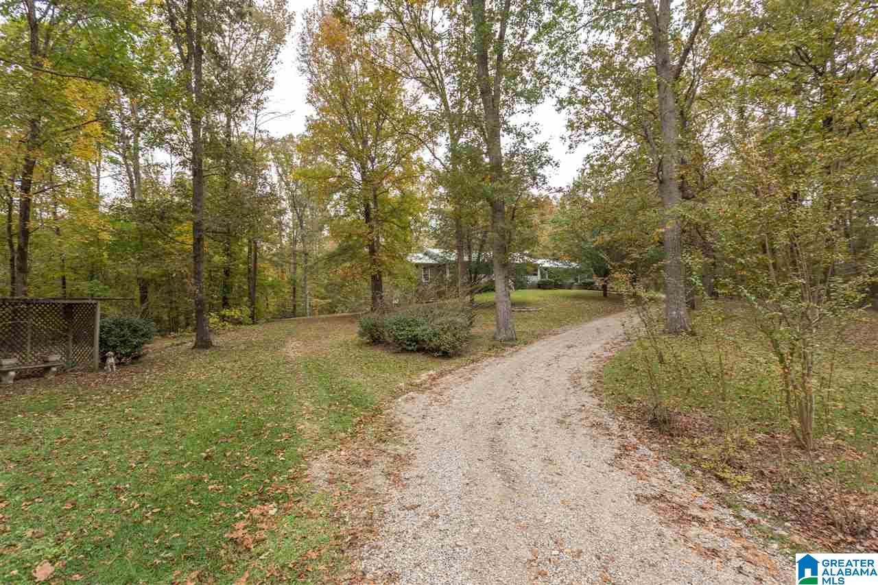 17935 Highway 75 Remlap, AL 35133 - Photo 2 of 30