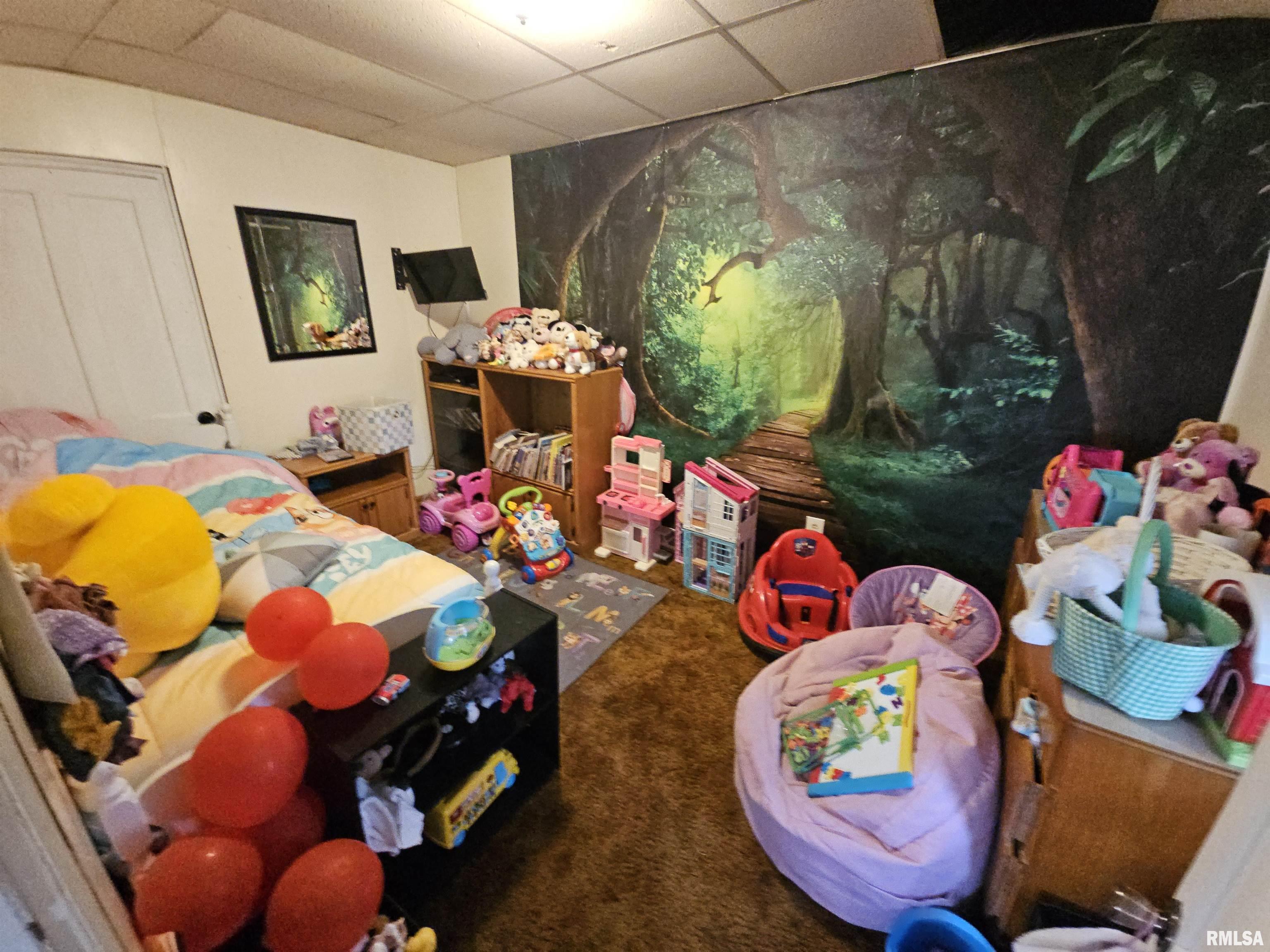 203 State Street Benson, IL 61516 - Photo 12 of 25