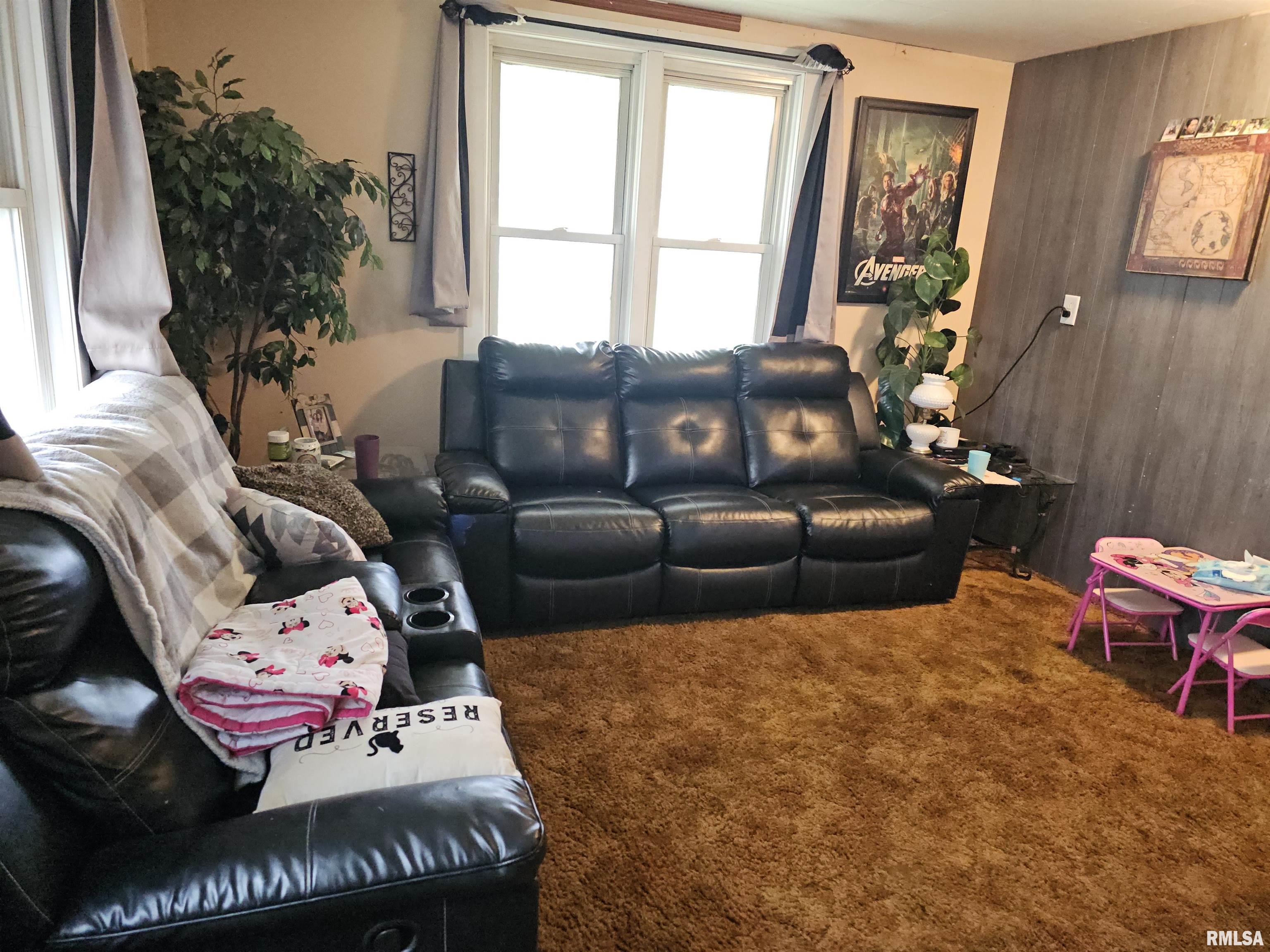 203 State Street Benson, IL 61516 - Photo 3 of 25