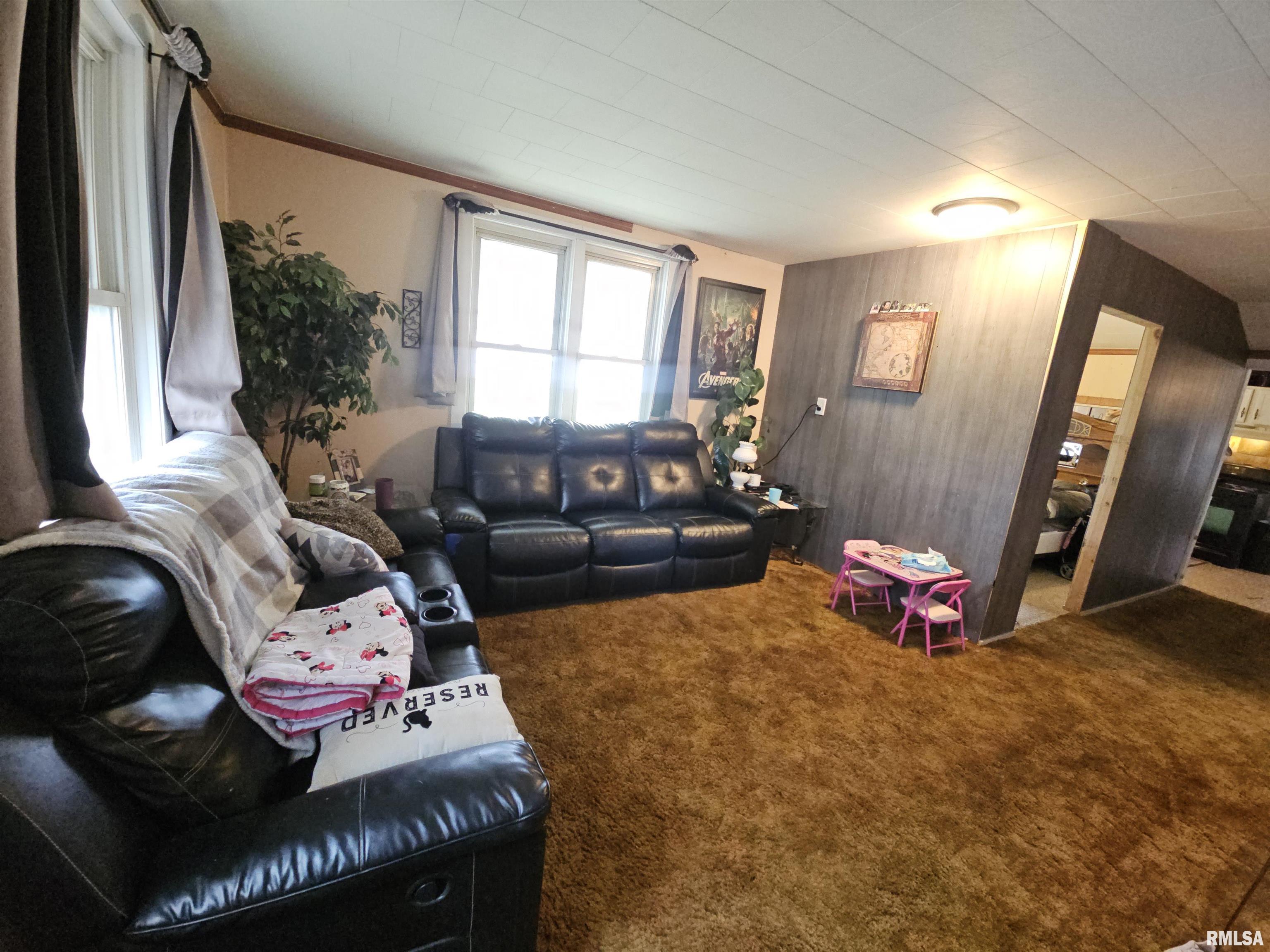 203 State Street Benson, IL 61516 - Photo 4 of 25