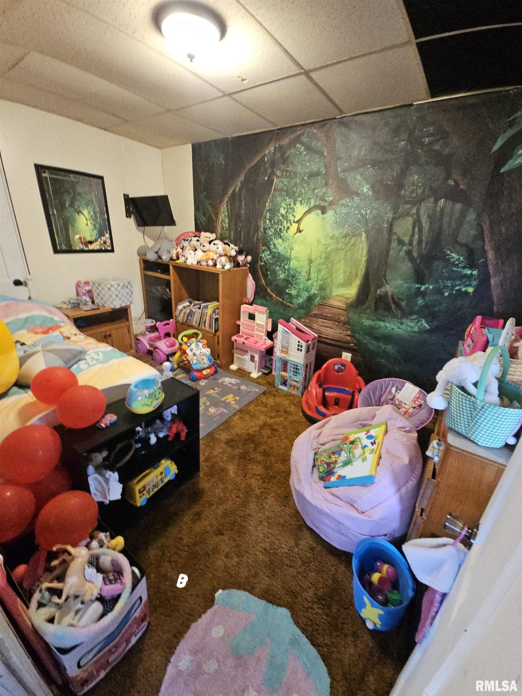 203 State Street Benson, IL 61516 - Photo 9 of 25