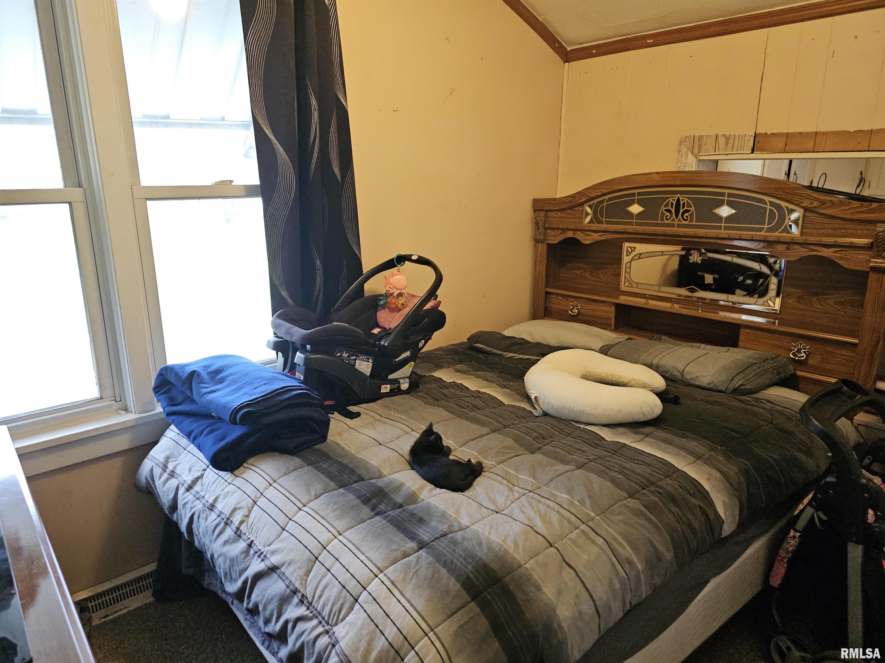 203 State Street Benson, IL 61516 - Photo 10 of 25