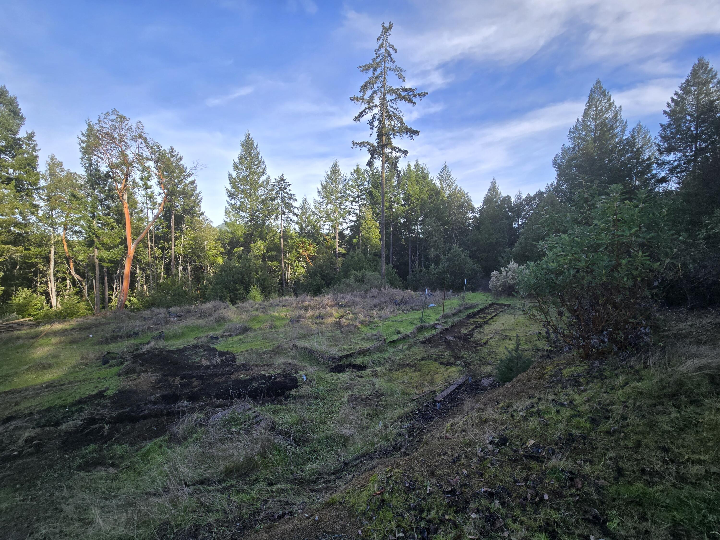 2126 China Creek Road Garberville, CA 95542 - Photo 25 of 40