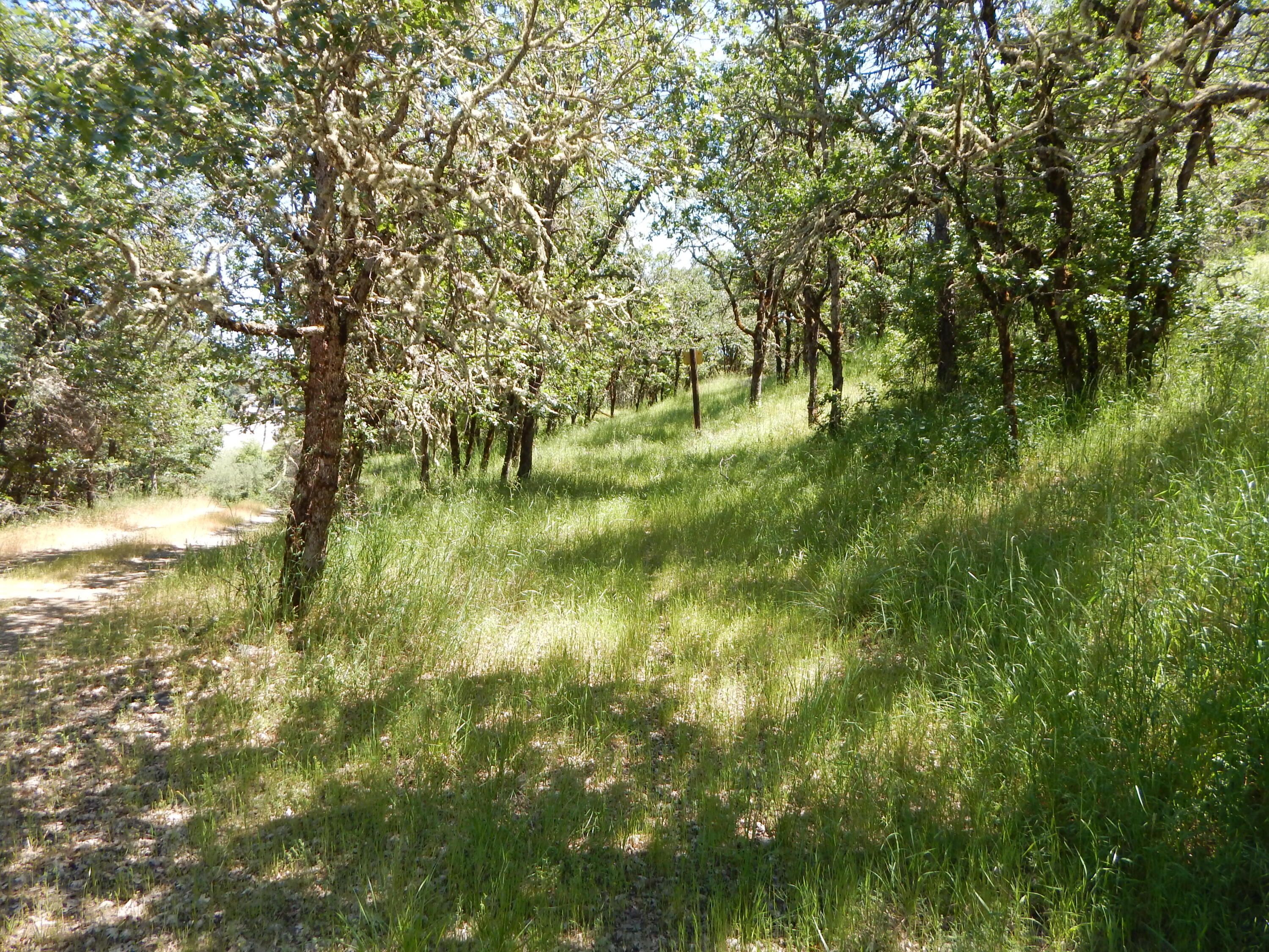 10205 Old Stage Road Gold Hill, OR 97525 - Photo 23 of 36 DSCN4385