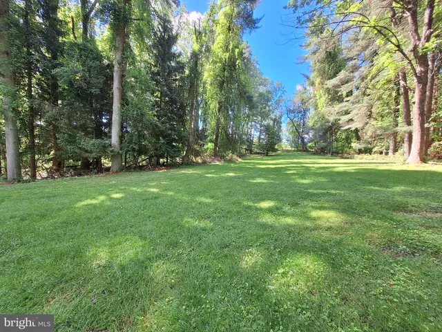 a grassy field with trees in the background