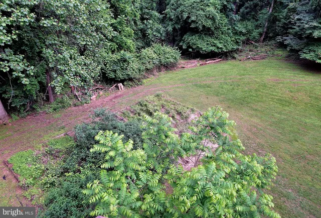 a view of a garden with a pathway