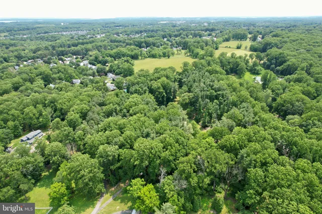 a view of a green field with lots of bushes