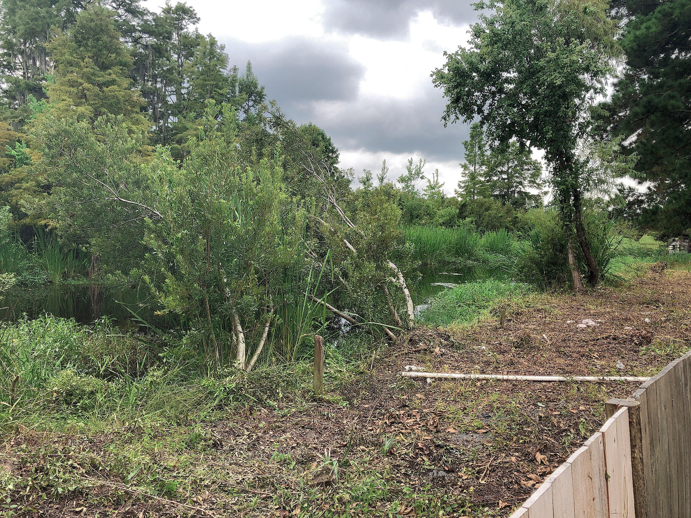 1218 Eagle Landing Boulevard Hanahan, SC 29410 - Photo 56 of 61 IMG_1662