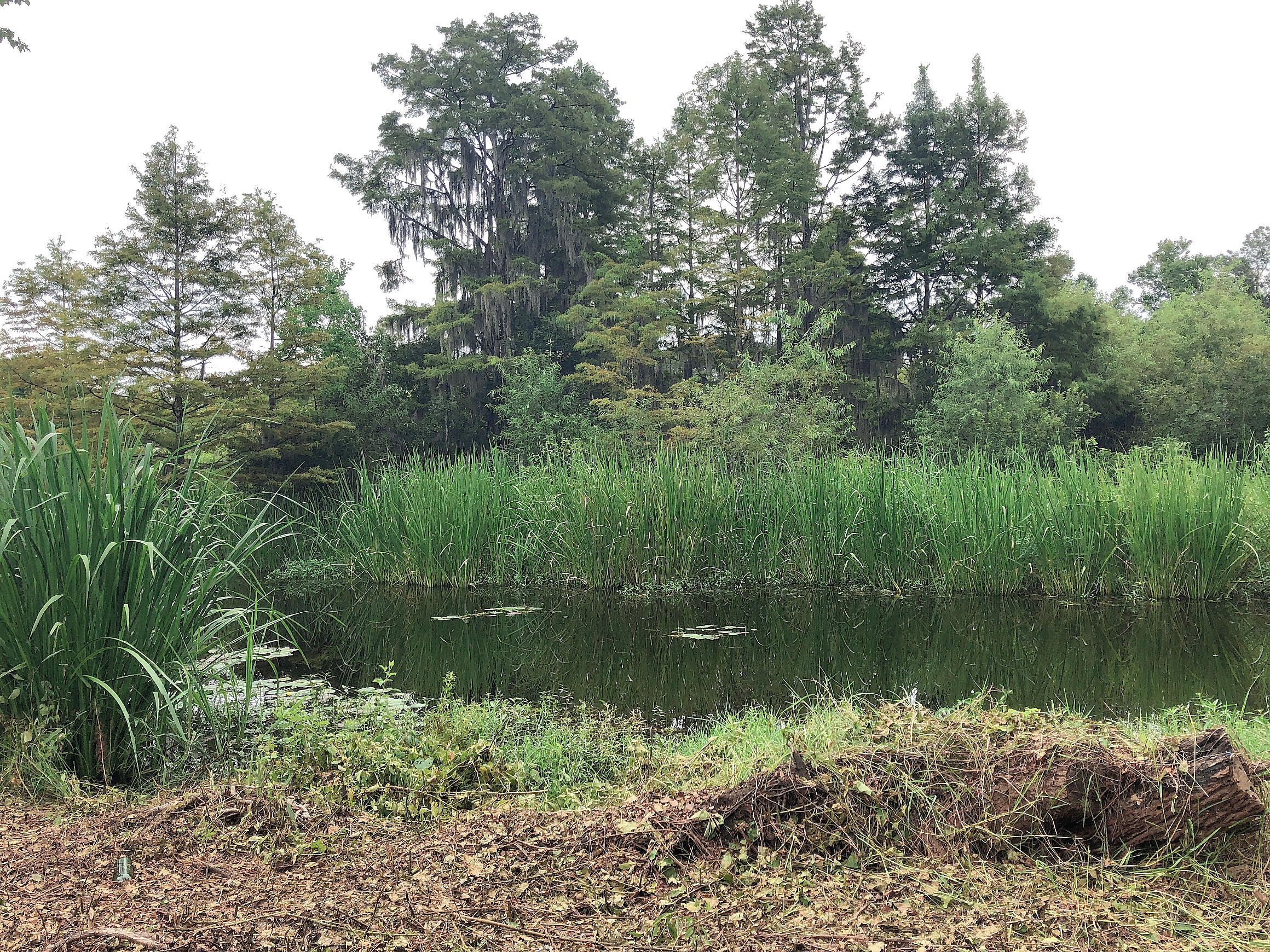 1218 Eagle Landing Boulevard Hanahan, SC 29410 - Photo 57 of 61 IMG_1663