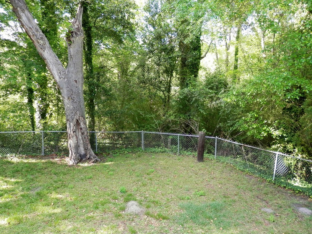 155 Carline Road Warrenville, SC 29851 - Photo 6 of 33