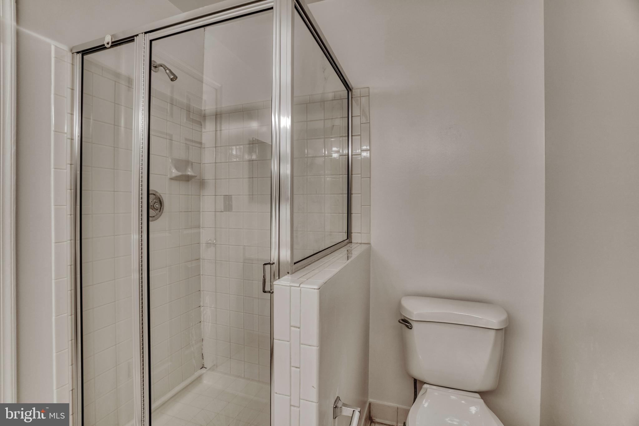 408 Kilree Road, Unit 202 Lutherville-Timonium, MD 21093 - Photo 22 of 33 Primary bath with with shower.