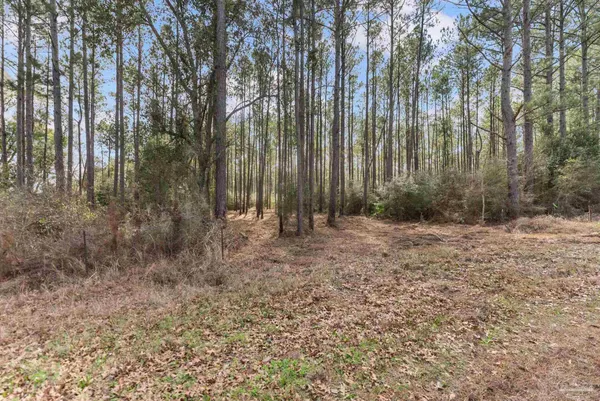 $99,000 | Lot #1 Bermuda Lane, Seminole, AL 36574