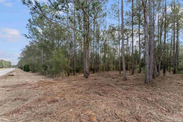 $99,000 | Lot #1 Bermuda Lane, Seminole, AL 36574
