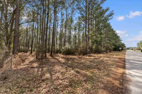 $99,000 | Lot #1 Bermuda Lane, Seminole, AL 36574