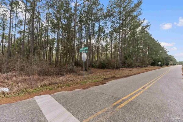 $99,000 | Lot #1 Bermuda Lane, Seminole, AL 36574