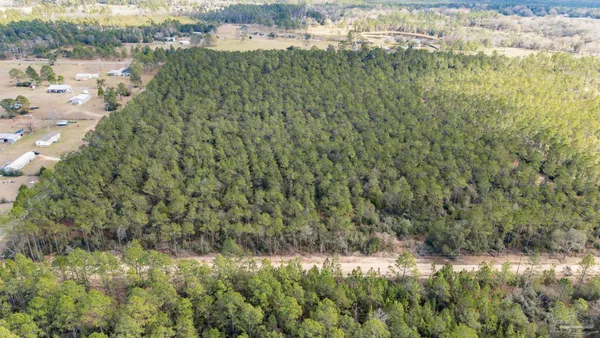 $99,000 | Lot #1 Bermuda Lane, Seminole, AL 36574