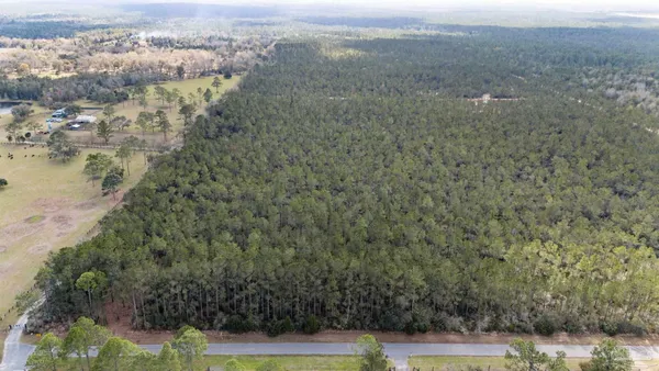 $99,000 | Lot #1 Bermuda Lane, Seminole, AL 36574