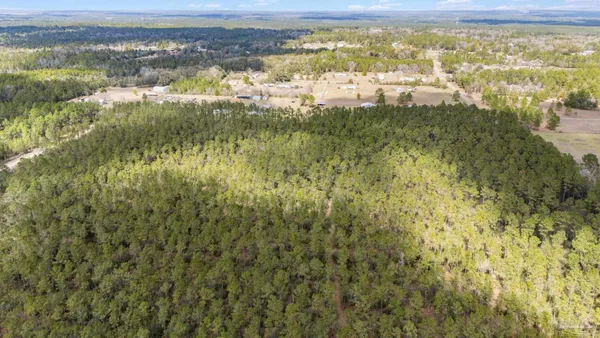 $99,000 | Lot #1 Bermuda Lane, Seminole, AL 36574