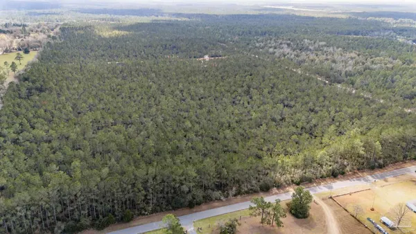 a view of a field with an trees