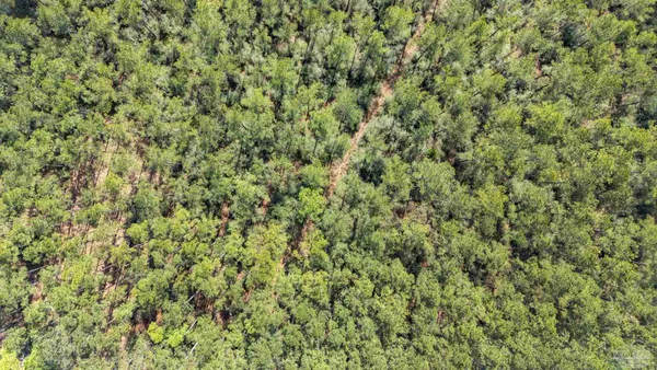 $99,000 | Lot #1 Bermuda Lane, Seminole, AL 36574