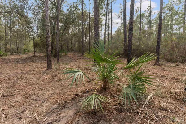 $99,000 | Lot #1 Bermuda Lane, Seminole, AL 36574