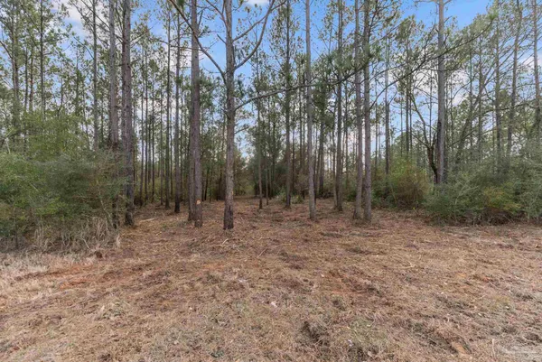 $99,000 | Lot #1 Bermuda Lane, Seminole, AL 36574