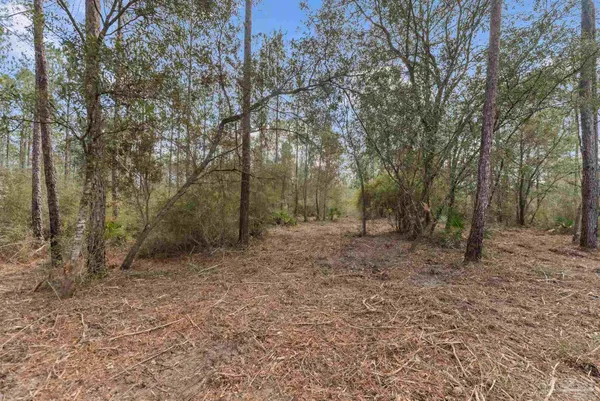 $99,000 | Lot #1 Bermuda Lane, Seminole, AL 36574