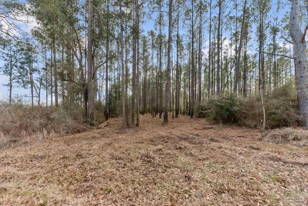 $99,000 | Lot #1 Bermuda Lane, Seminole, AL 36574