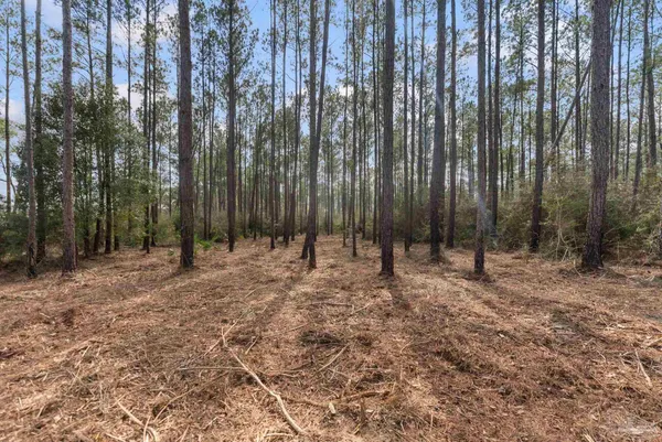 $99,000 | Lot #1 Bermuda Lane, Seminole, AL 36574