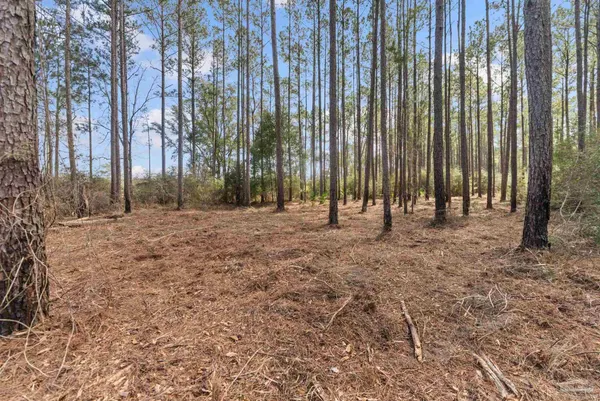 $99,000 | Lot #1 Bermuda Lane, Seminole, AL 36574