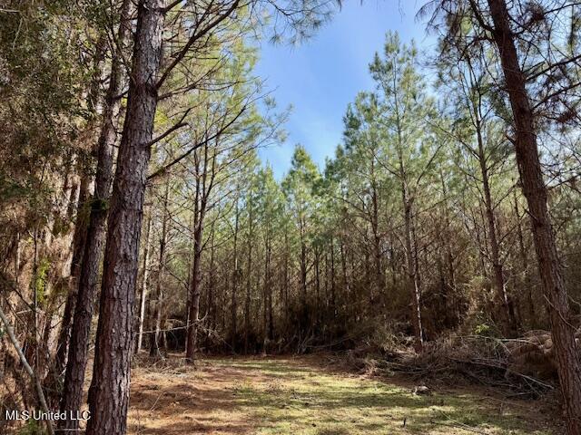 Tynes Road Sandy Hook, MS 39478 - Photo 16 of 34 IMG_4078
