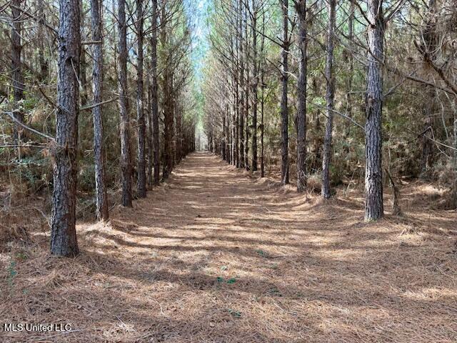 Tynes Road Sandy Hook, MS 39478 - Photo 20 of 34 IMG_4082