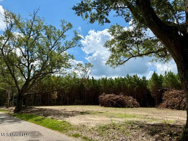 Tynes Road Sandy Hook, MS 39478 - Photo 3 of 34 IMG_6106