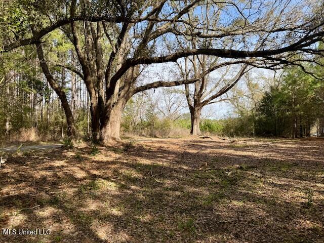 Tynes Road Sandy Hook, MS 39478 - Photo 32 of 34 IMG_4094