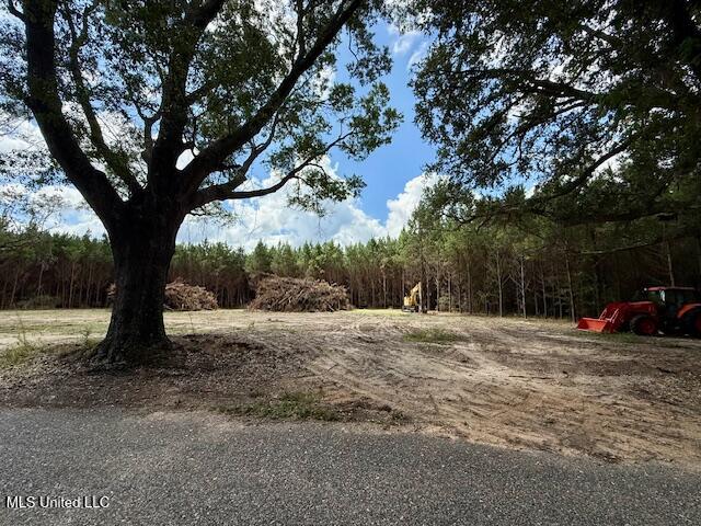 Tynes Road Sandy Hook, MS 39478 - Photo 7 of 34 IMG_6110