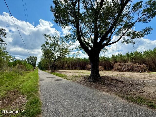 Tynes Road Sandy Hook, MS 39478 - Photo 8 of 34 IMG_6111