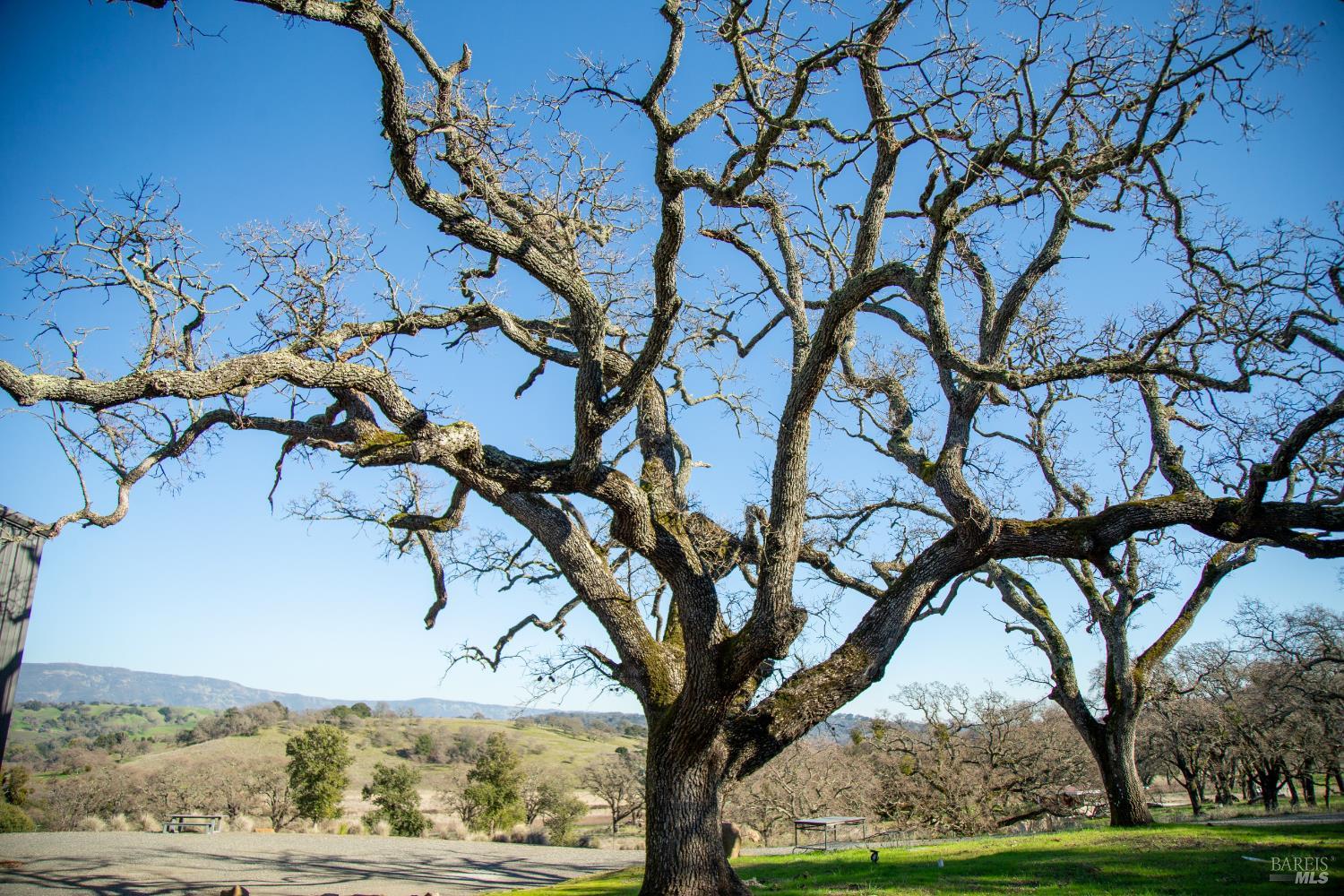 3576 Monticello Road Napa, CA 94558 - Photo 28 of 43