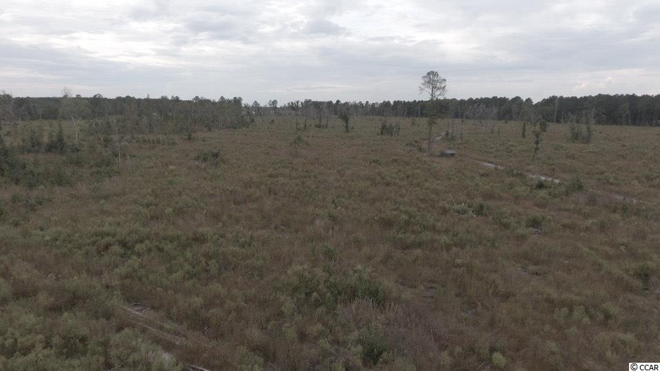 77-ac North Matthews Road Scranton, SC 29591 - Photo 5 of 8