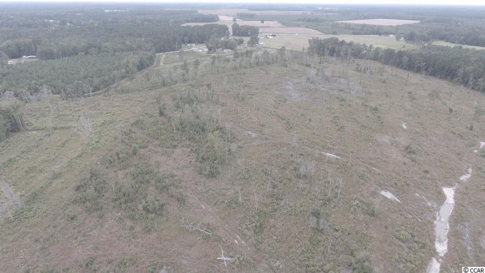 77-ac North Matthews Road Scranton, SC 29591 - Photo 8 of 8
