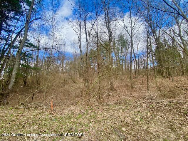 Parcel B/c Parcel B/c Bath Road Perry, MI 48872 - Photo 21 of 21 IMG_1490