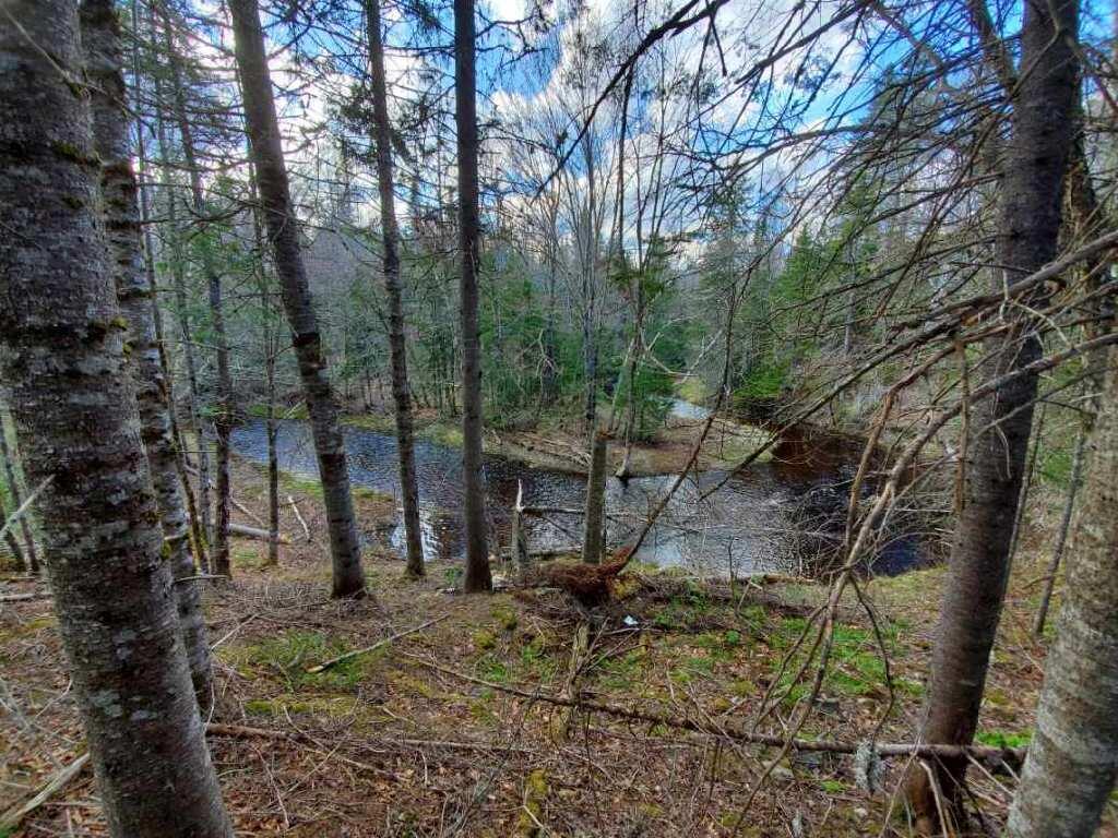 Lot 6 Estabrook Road Amity, ME 04471 - Photo 3 of 23 AA045040-45B9-485A-8463-E4F2F599E479
