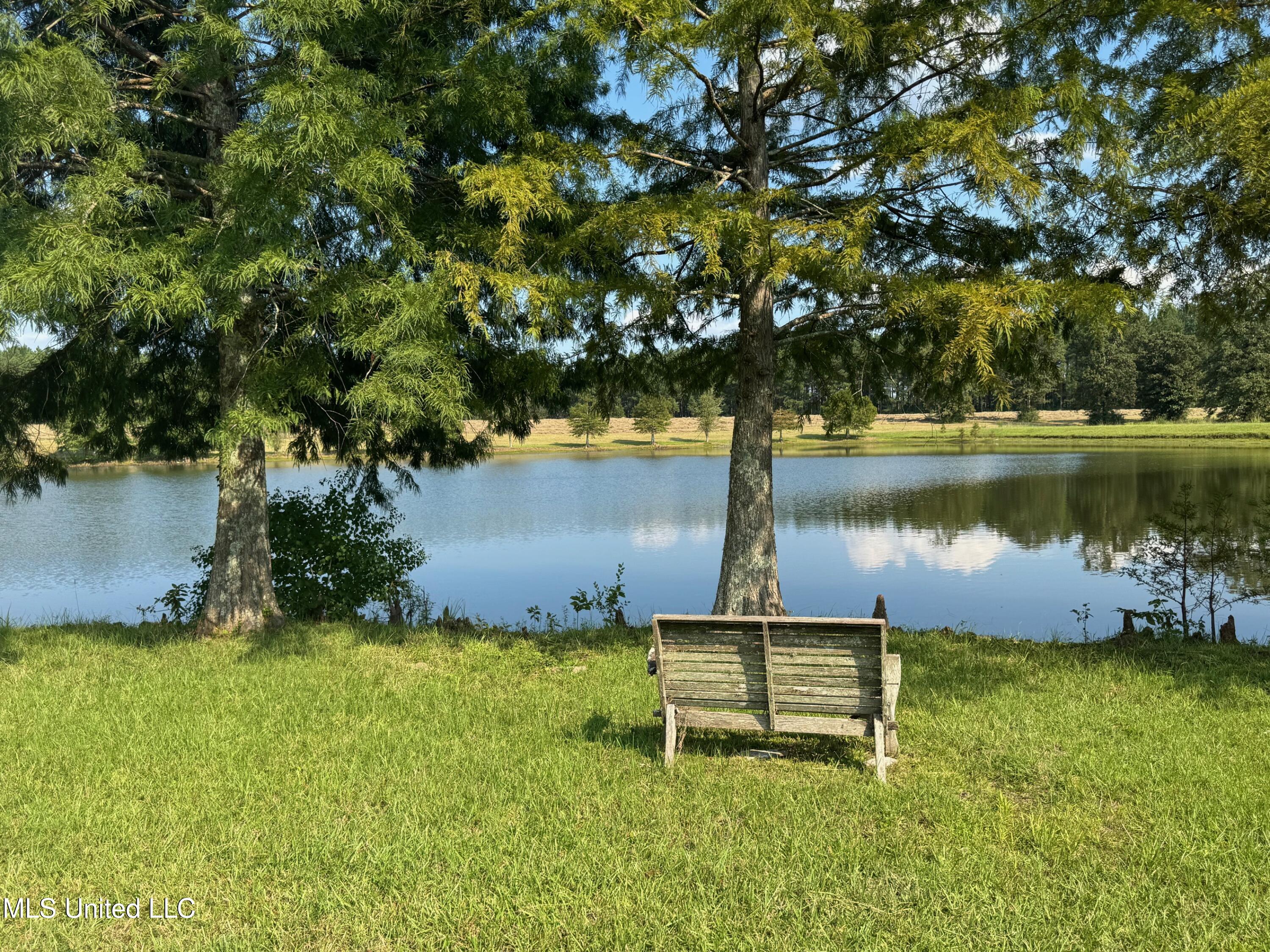 2053 Osyka Progress Road Osyka, MS 39657 - Photo 76 of 79 Bench by lake
